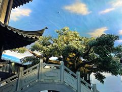 -馋遇江南·精致湖景雅宴(东方之门店)