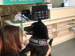 -爱诺耐芙动物医院(万博店)