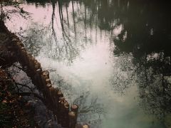 -同里国家湿地公园