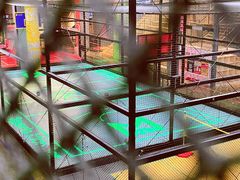 -运动派(北京店)