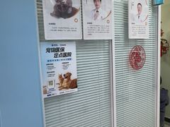 -全心全意连锁动物医院·微创中心·内科急重症·心脏专科(丰管路店)