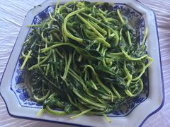 清炒马兰头-洞天食府(北大街店)