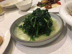 金汤菠菜-涵苑私宴定制(外滩店)
