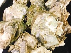 -大富蚝乌东哥饭店·石锅鱼杂·柠檬鸭(革新路店)