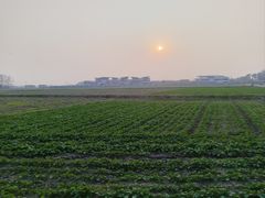 -中国天府农业博览园