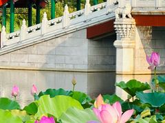 -西海子公园