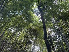 -石燕湖生态旅游景区