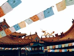 -大召无量寺