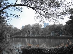-东山湖公园