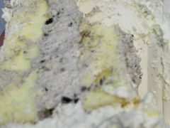 -ZOZO's昌左左精致甜品设计(新北店)