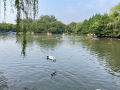 -扬州市茱萸湾风景区