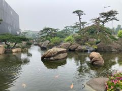 -罗红摄影艺术馆