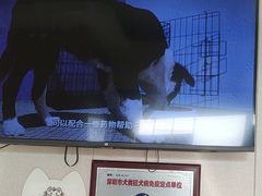 -瑞鹏宠物医院(大运分院)