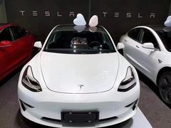 -TESLA 特斯拉(上海太古汇体验店)