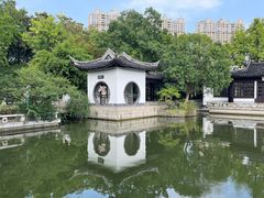 -红梅公园
