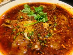 水煮牛肉-夫妻肺片·中华老字号·正宗川菜(春熙路店)