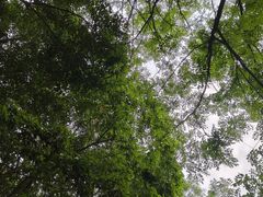 -港澳广场购物中心