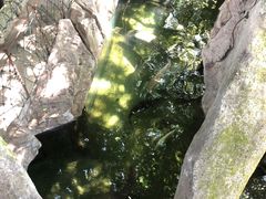 -青青世界