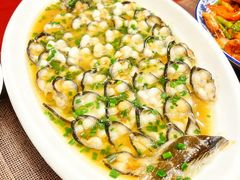 -呼吸森林·生态农庄农家乐私房菜