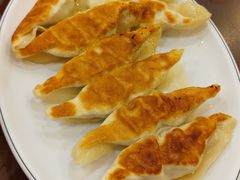 -高雄杨宝宝锅贴