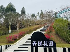 -盈香心动乐园