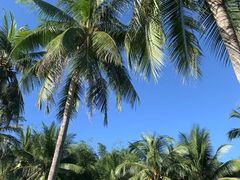 -三亚南山文化旅游区