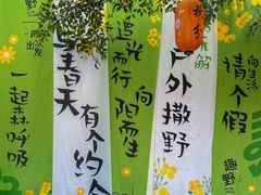 -单家老院·院子里的青岛菜(沙子口店)
