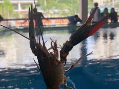 -SHRIMP CLUB万东餐饮钓虾·清吧