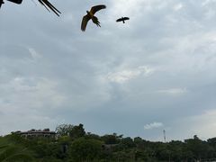 -巴拉湾海滩