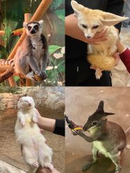 -Zoolung Zoolung动物主题公园(海信广场店)