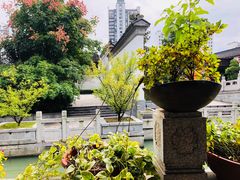 -吴越荣记苏州菜·松鼠桂鱼100%活鱼现做(斜塘老街店)