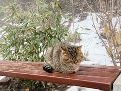 -终南山南五台景区