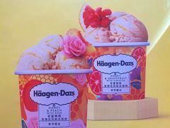 -哈根达斯(龙湖时代天街店)
