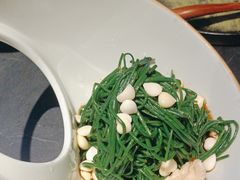 -蒙料·手把肉(望京店)