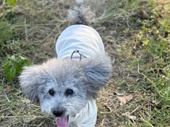 -广富林郊野公园
