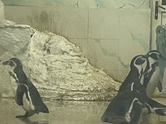 -南京海底世界