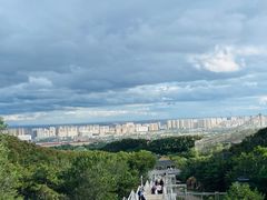-大青山野生动物园
