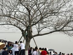 -观潮胜地公园