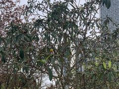 -重庆熙街