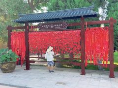 -张掖大佛寺景区