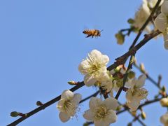 -桃花涧