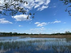 -野鸭湖国家湿地公园
