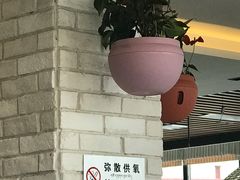 -玫瑰西餐厅.意面披萨.牛排咖啡