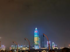-武汉知音号