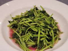 -高佳庄·海鲜酒楼(定海店)