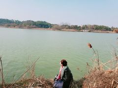 -杏花村文化旅游区