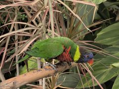 -南宫五洲植物乐园