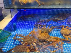 -驻海渔市(置信店)