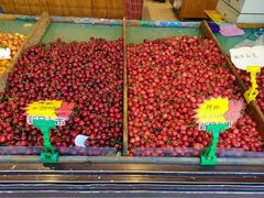 -乐乐鲜果水果超市(河北店)