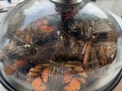 -半岛听涛蒸汽海鲜自助(K11店)